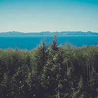 自动发货稳定的免费ddos在线攻击